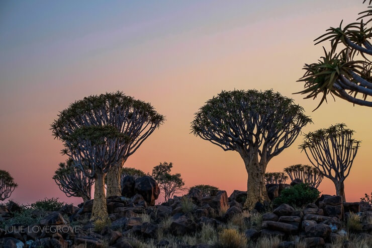 , Namibia &#8211; The beginning. Windhoek to Quiver Trees at Keetmanshoop