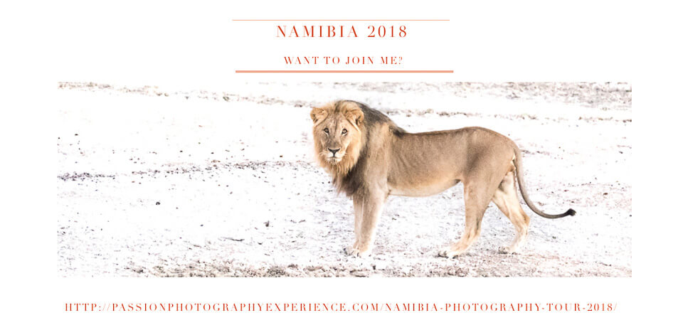 , Namibia &#8211; Etosha.