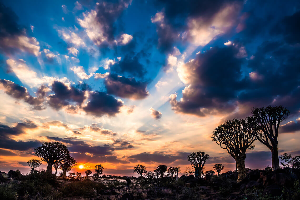 , The Magic of Namibia Photography Tour 2020