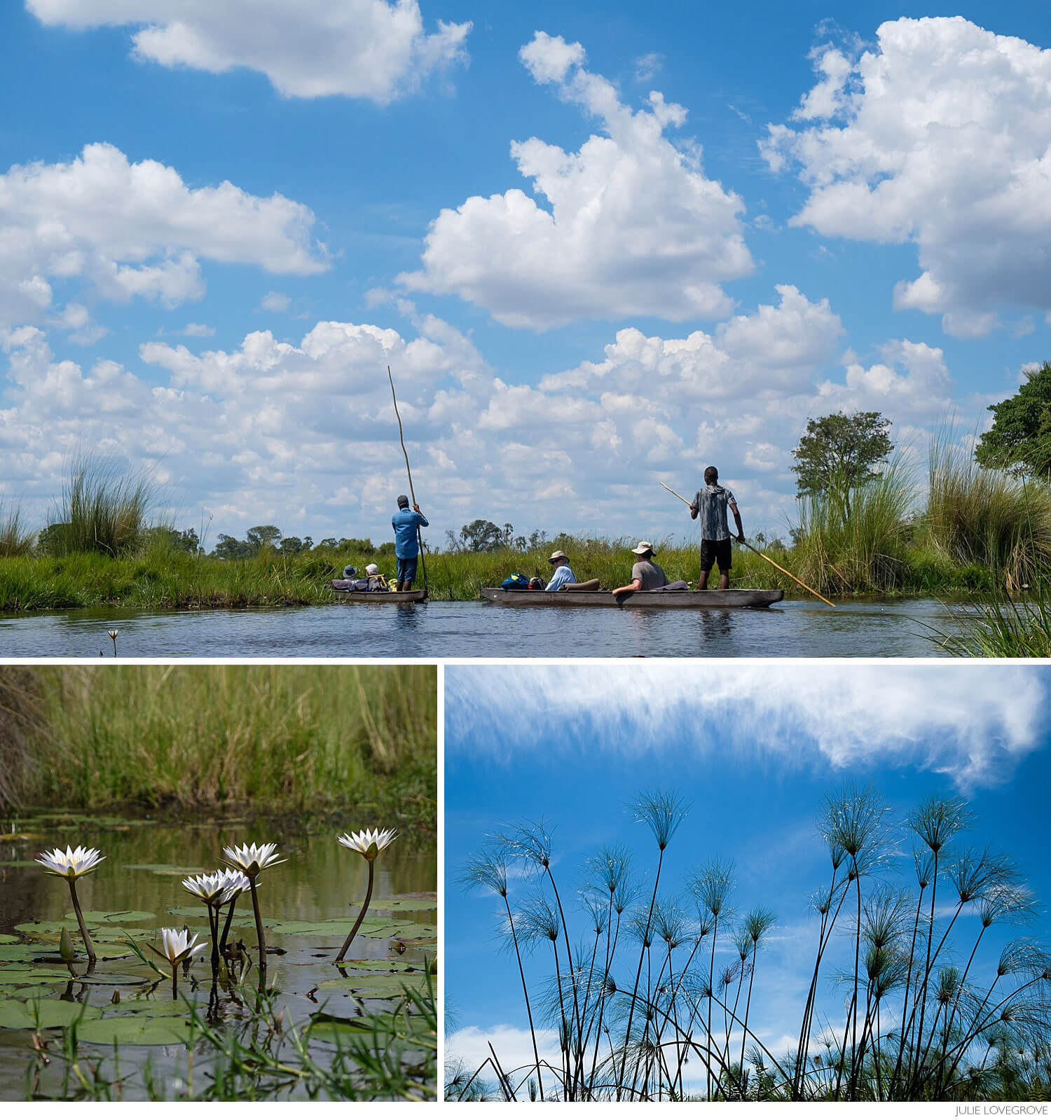, Botswana.  Part 1. Okavango Delta