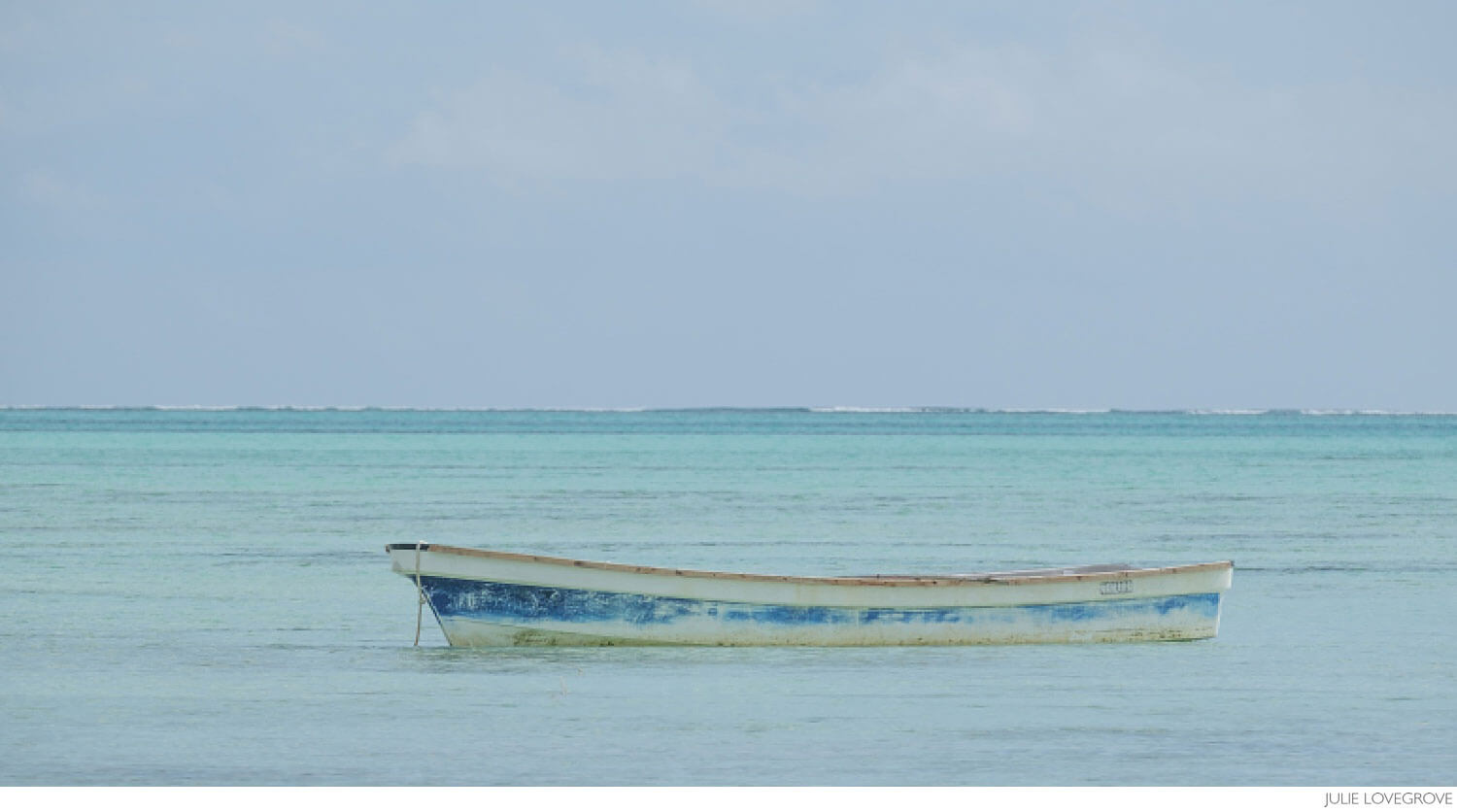 , Zanzibar. Part 1. Marine Conservation Volunteering