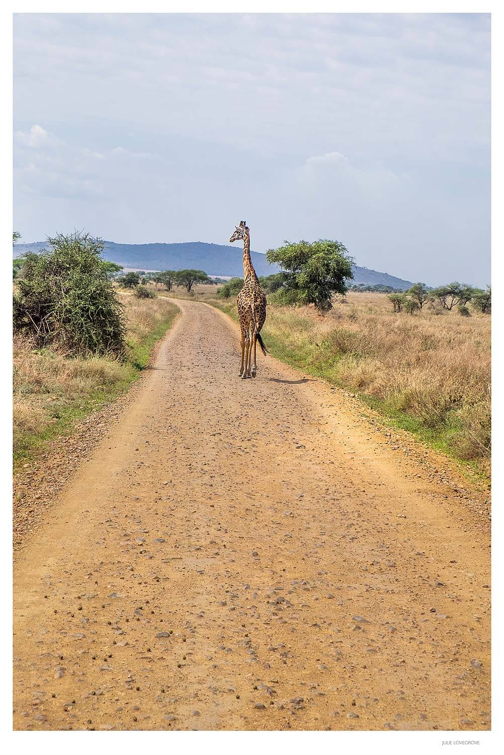 , Tanzania Part 3.  Serengeti.