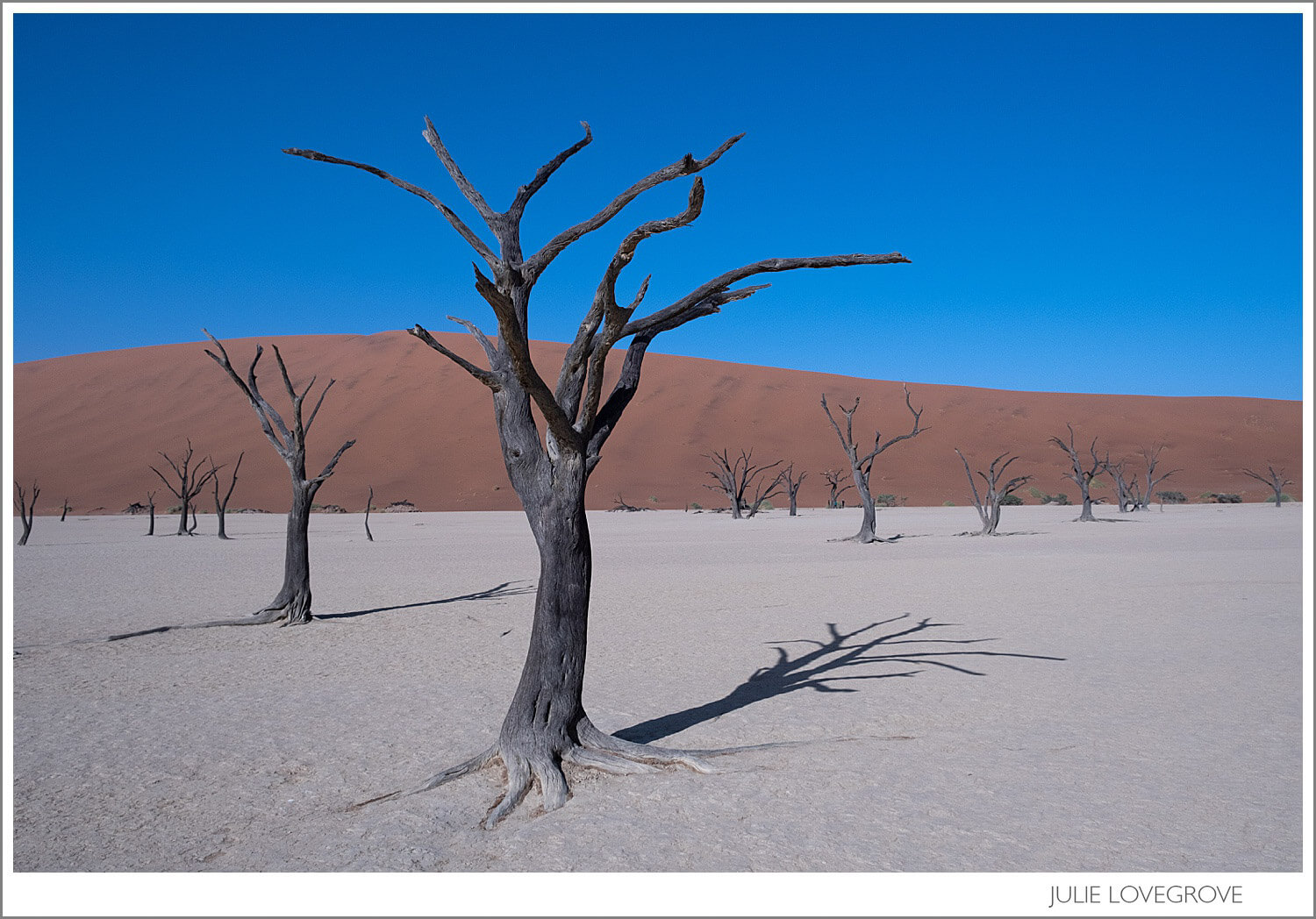 , Namibia Photography Tour 2022.  Days 5-8