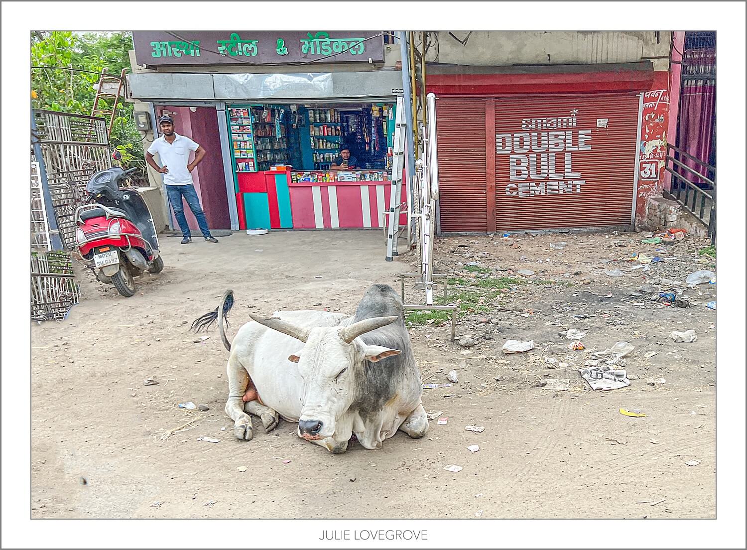 , India. Part 4.  Rural street life.