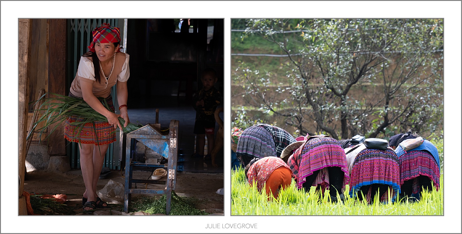 , Vietnam 2023.  Rural Life