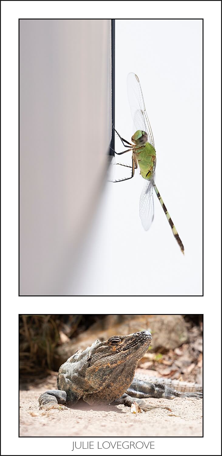 , Costa Rica in the dry season