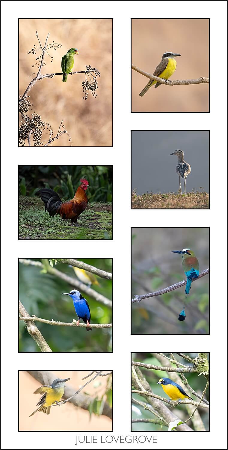 , Costa Rica in the dry season