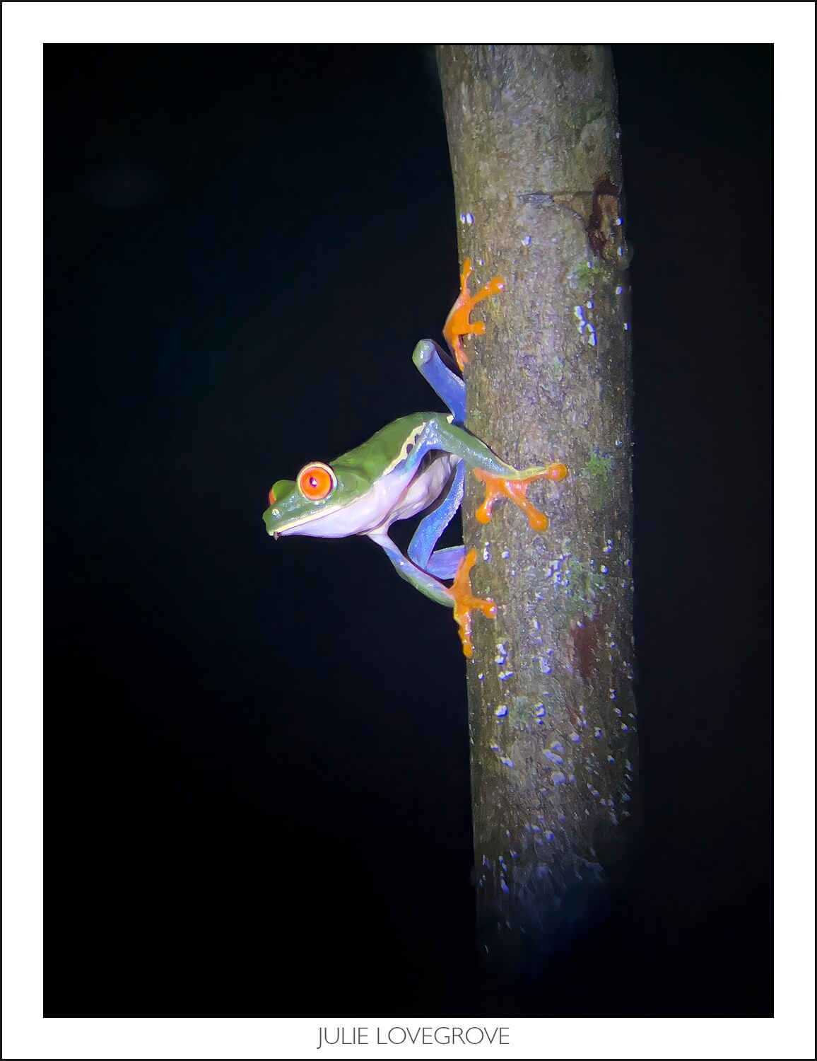 , Costa Rica in the dry season