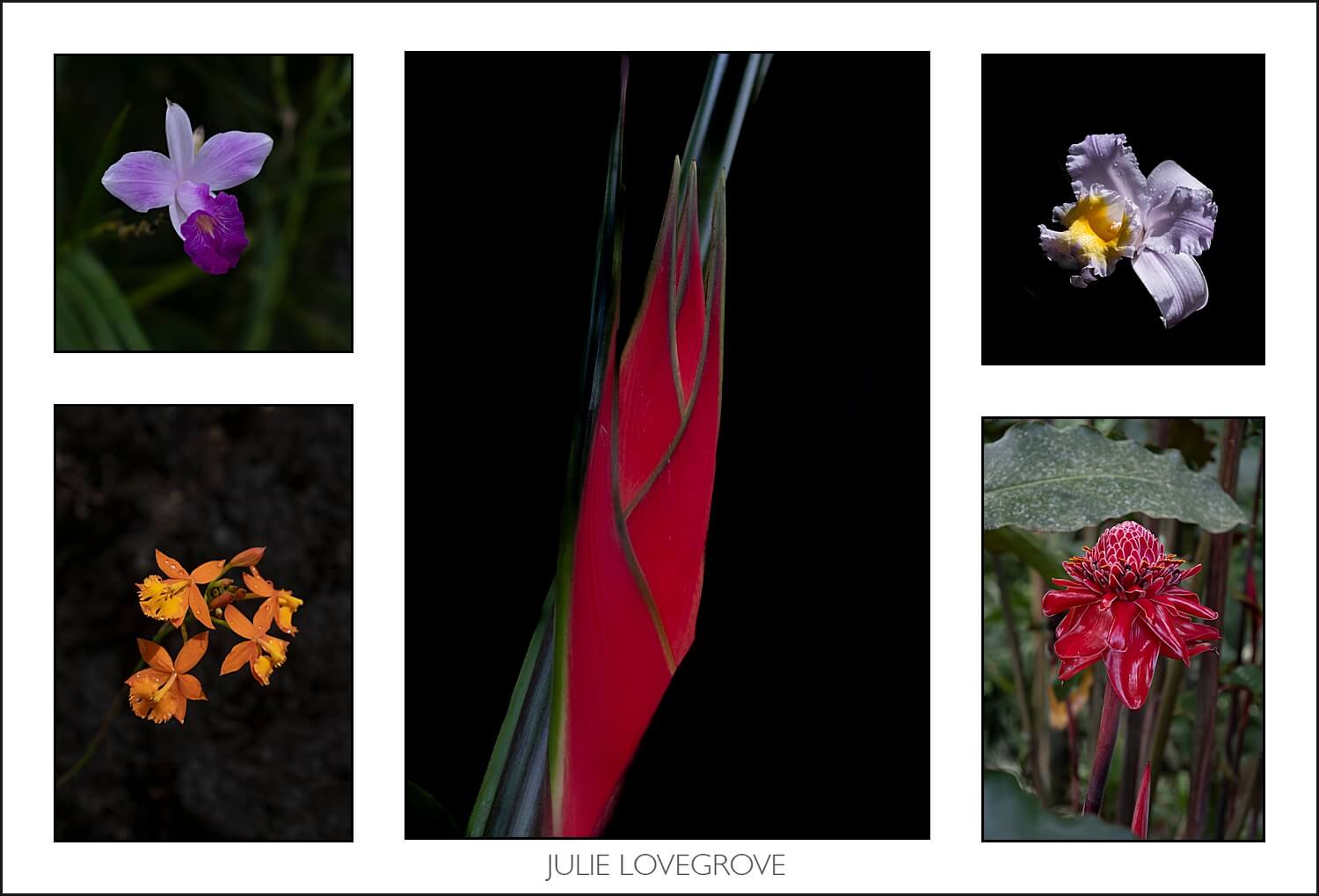 , Costa Rica in the dry season