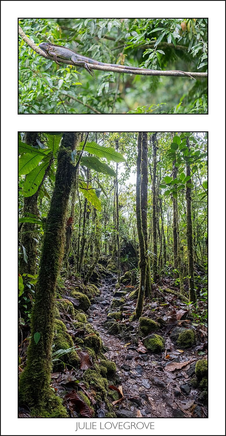 , Costa Rica in the dry season