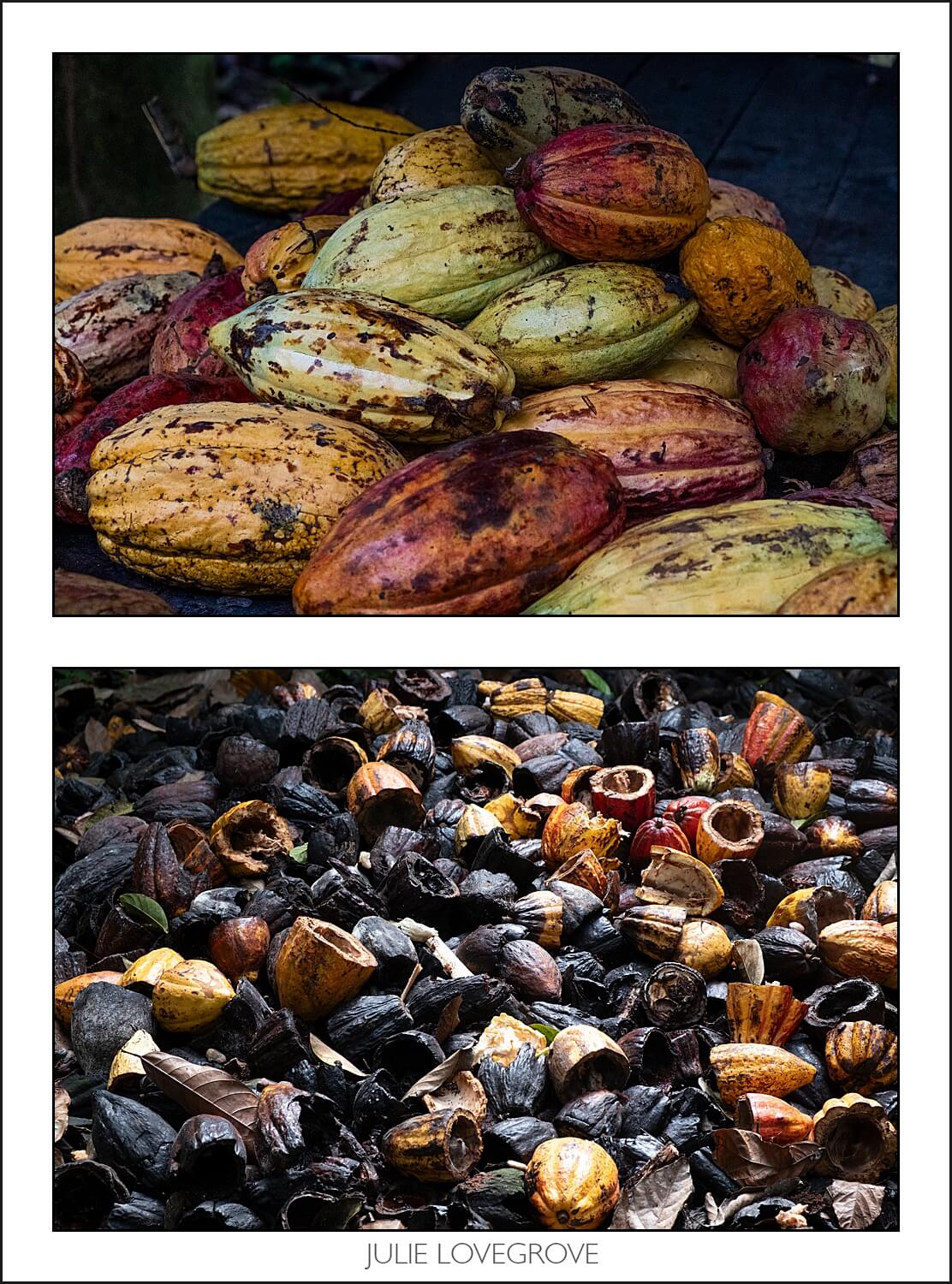 , Costa Rica in the dry season