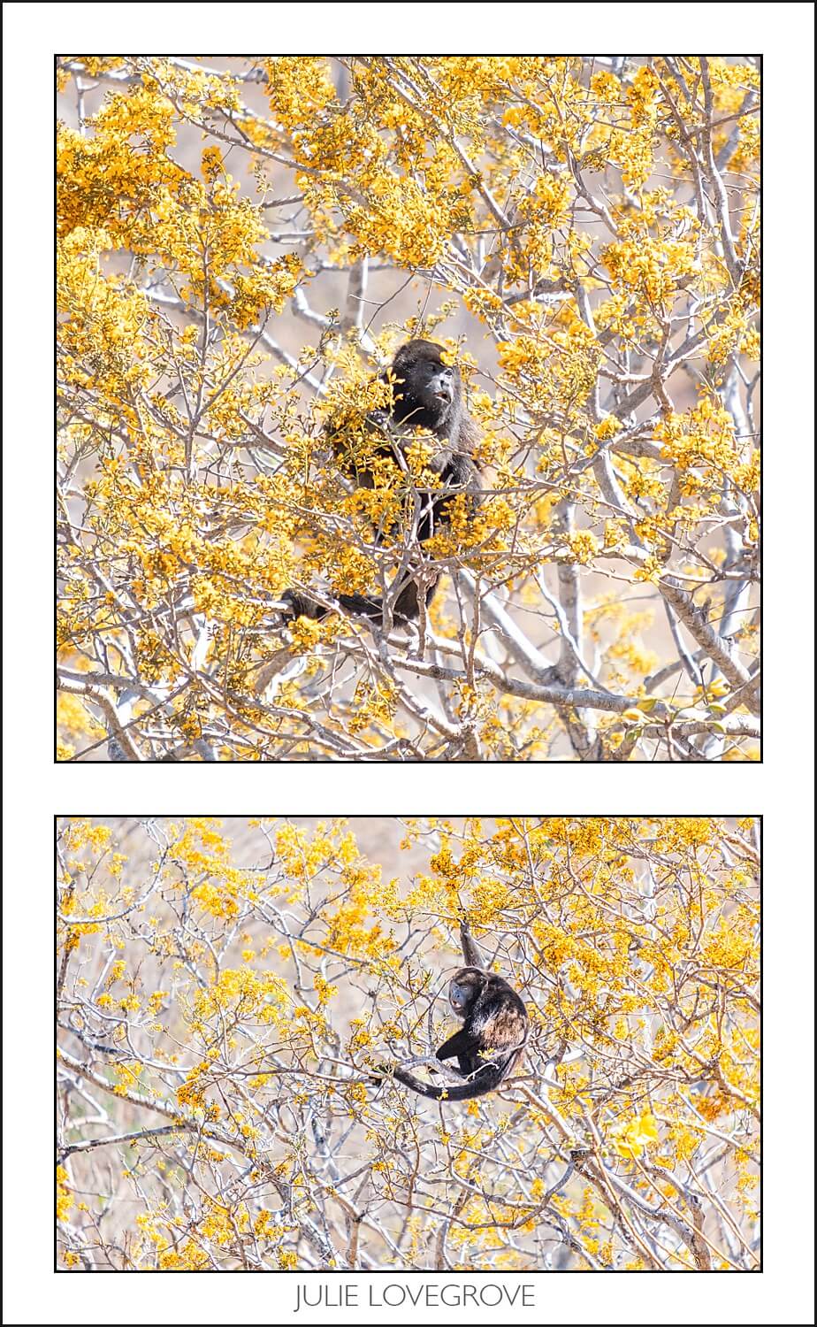 , Costa Rica in the dry season