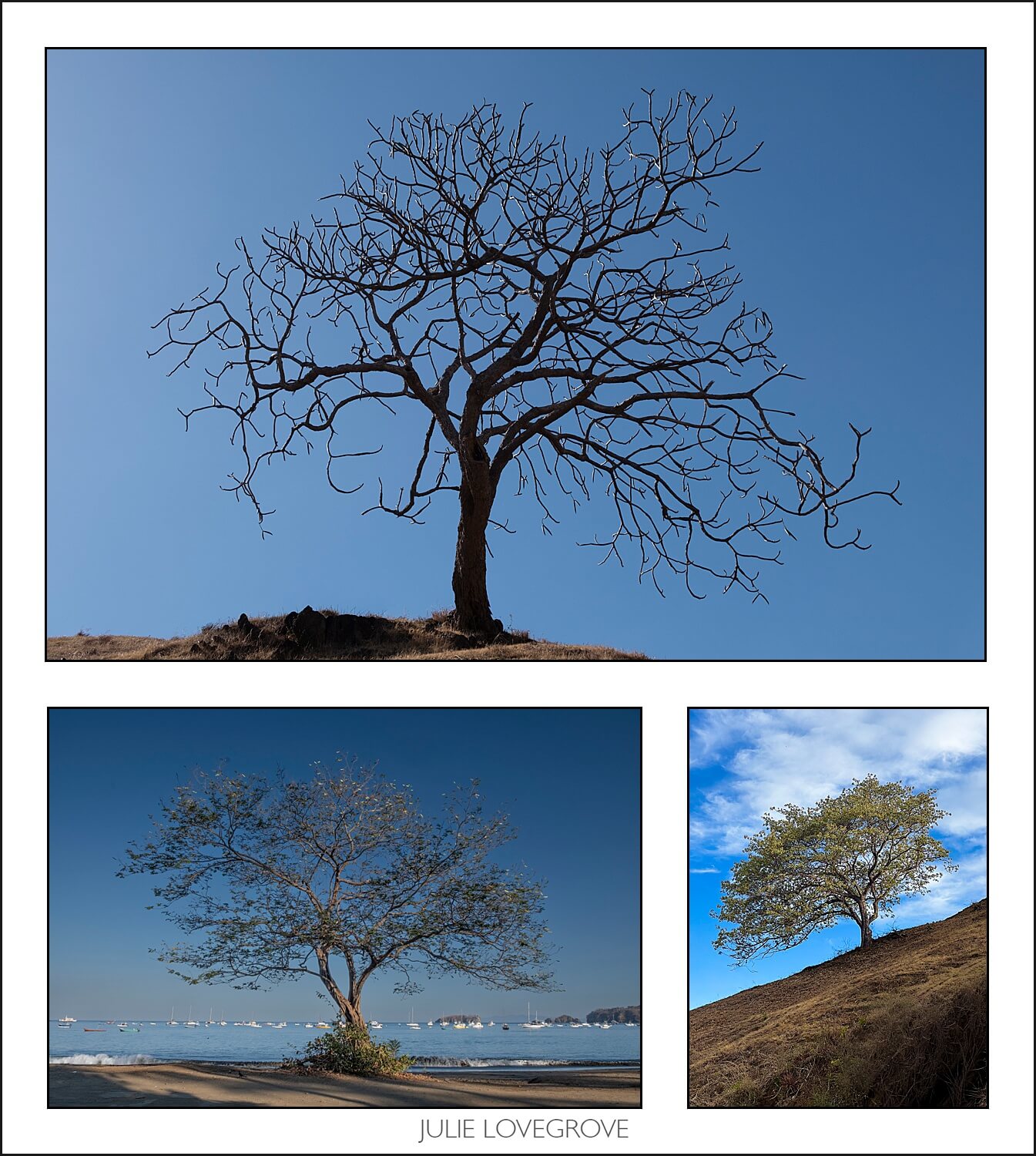 , Costa Rica in the dry season