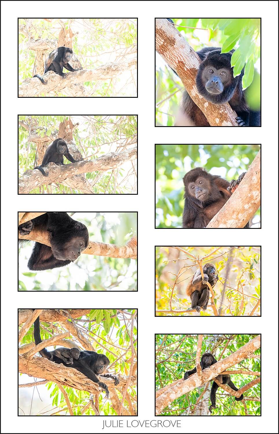 , Costa Rica in the dry season