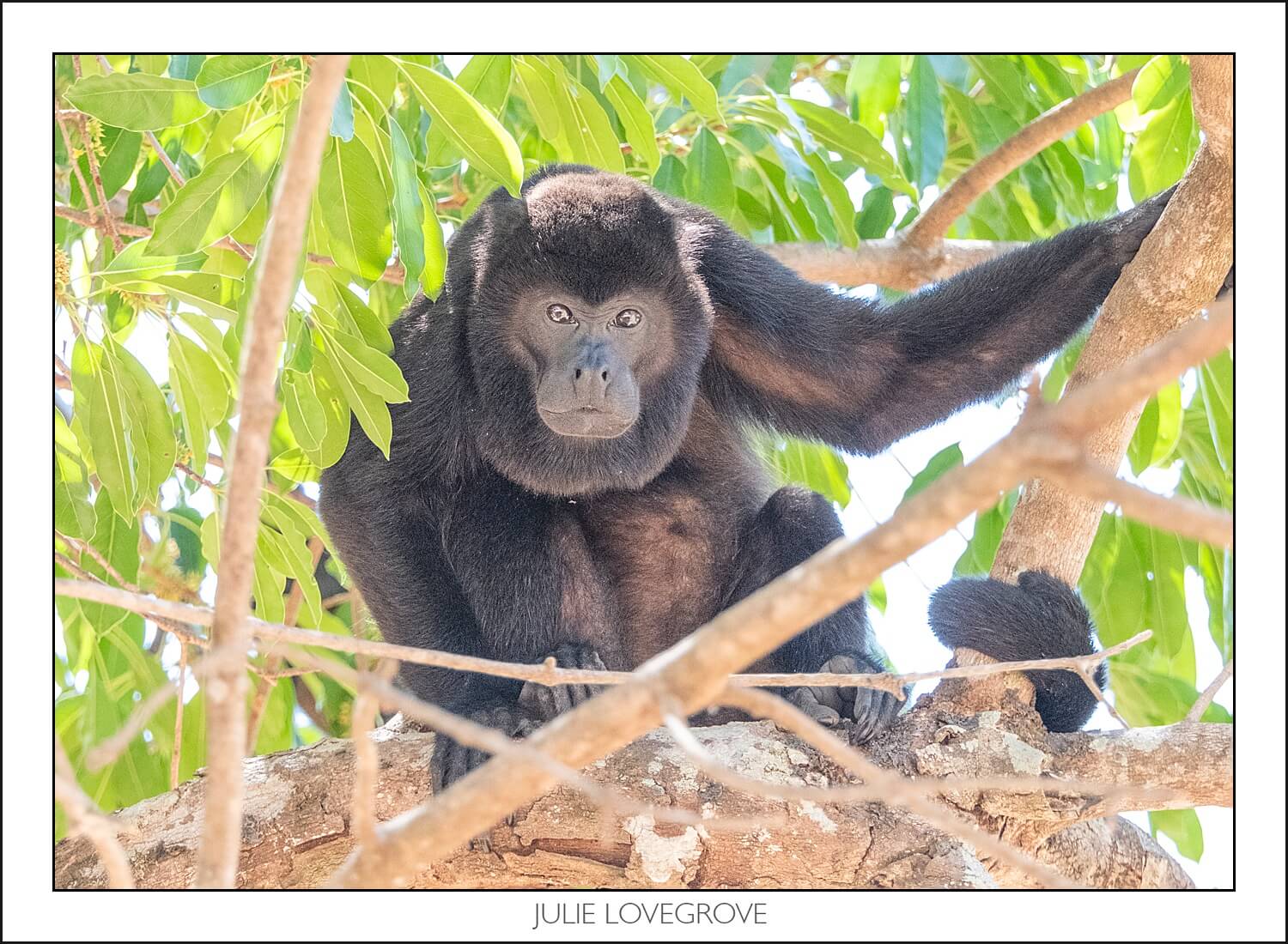 , Costa Rica in the dry season