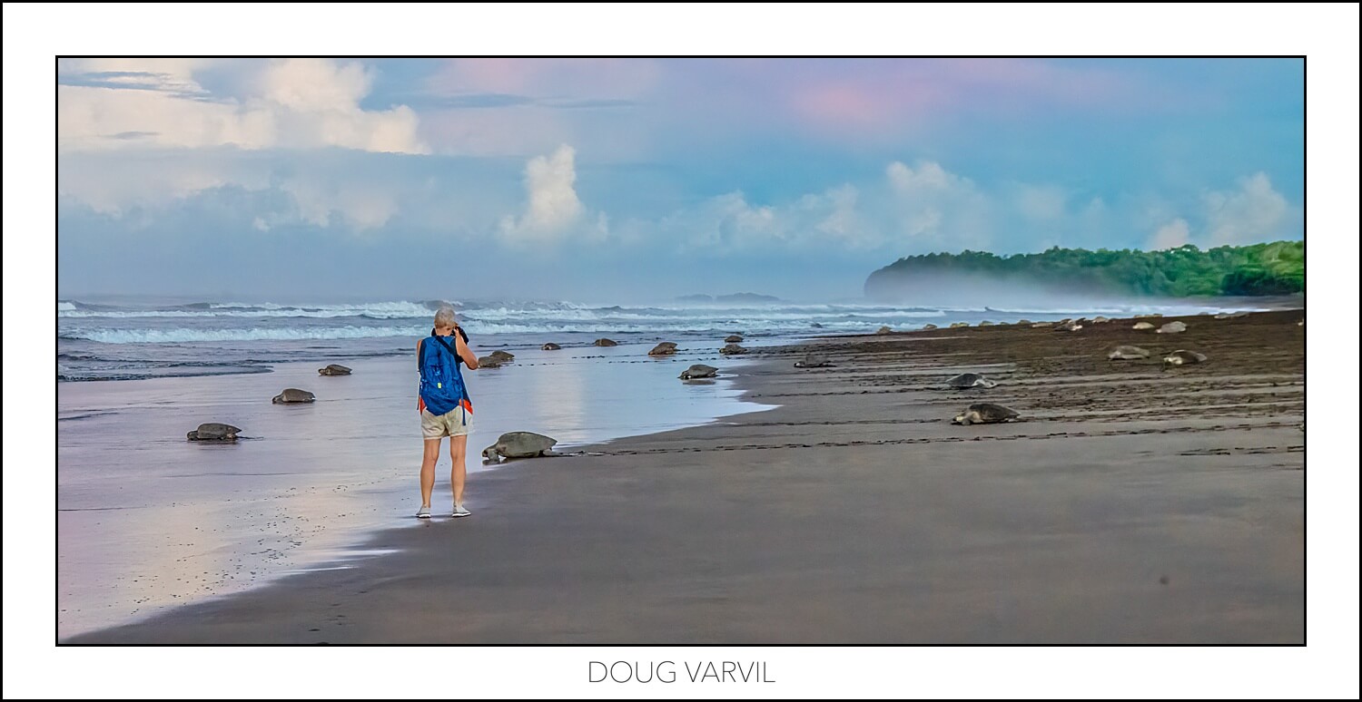 , Playa Ostinal – The Arribada
