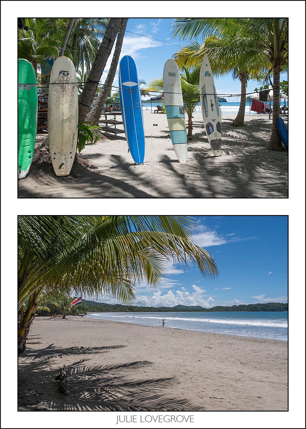 , Playa Ostinal – The Arribada