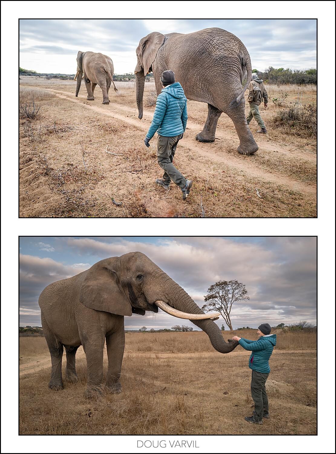 , Imiri Rhino & Wildlife Conservation. 2026. Zimbabwe