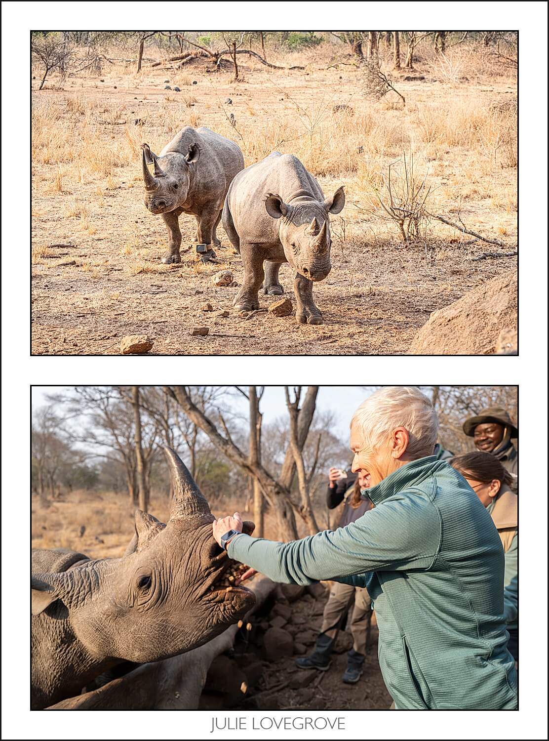 , Imiri Rhino & Wildlife Conservation. 2026. Zimbabwe