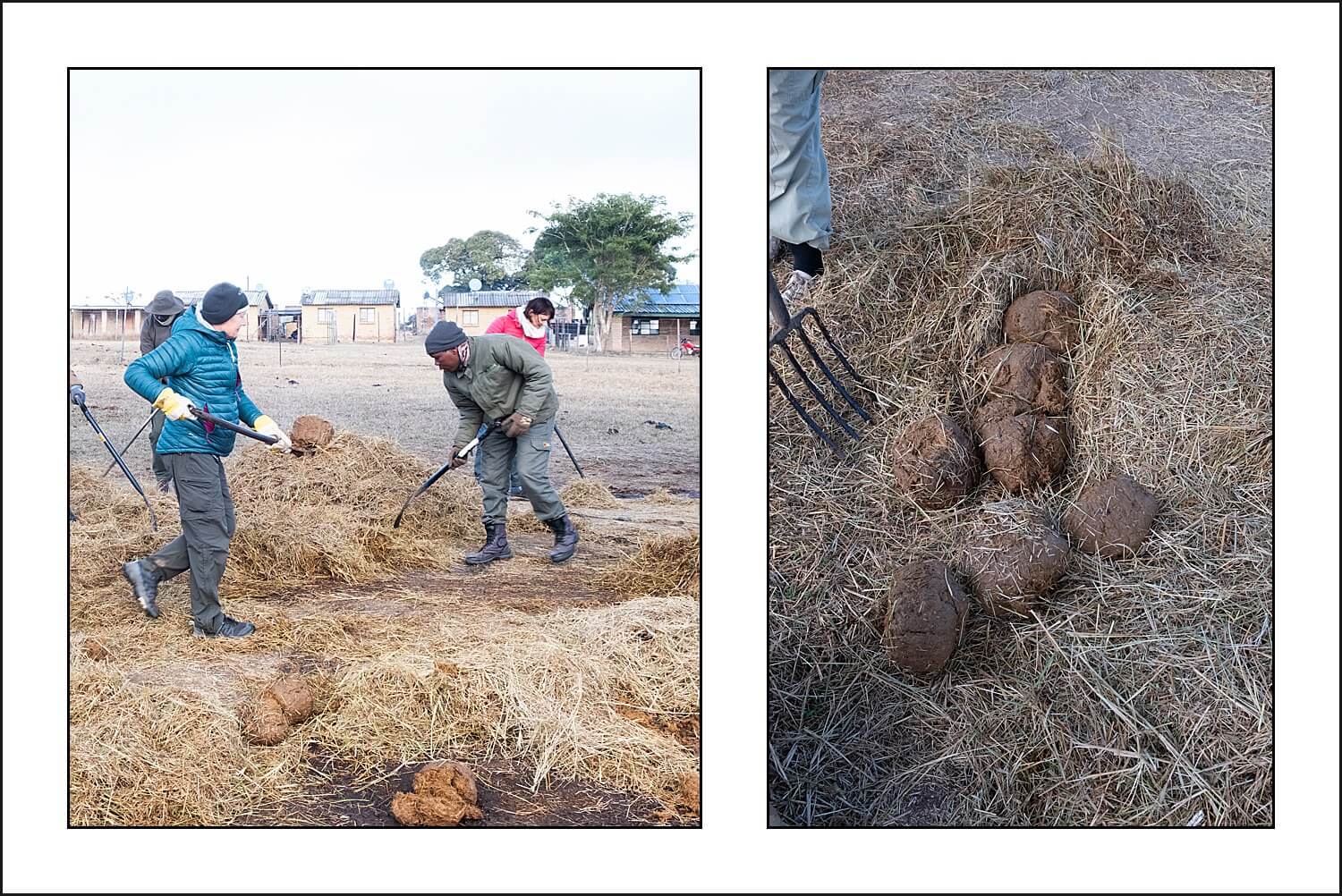 , Imiri Rhino & Wildlife Conservation. 2026. Zimbabwe