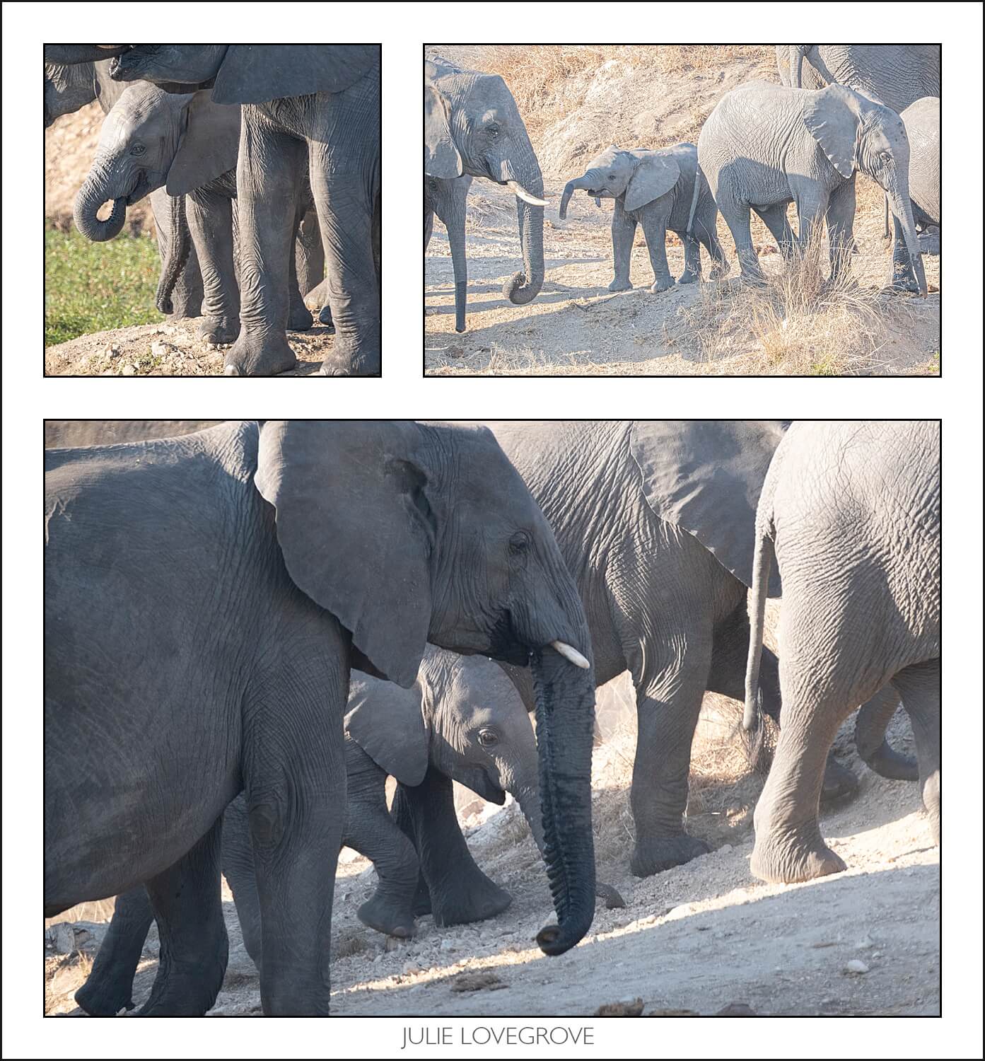 , Pungwe camp, Greater Kruger, South Africa. Part 1.