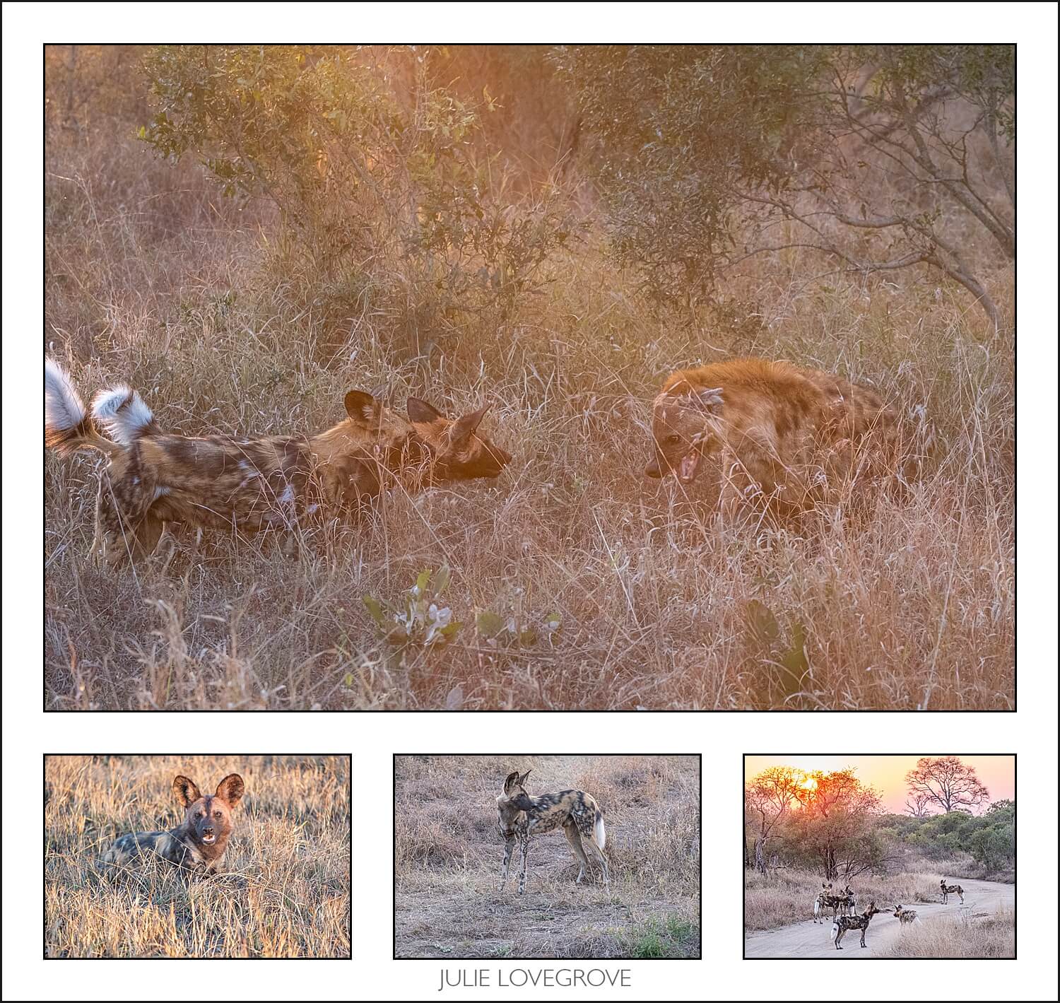 , Pungwe camp, Greater Kruger, South Africa. Part 1.