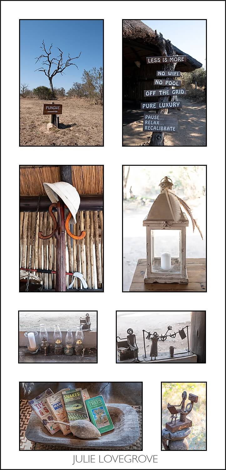, Pungwe camp, Greater Kruger, South Africa. Part 1.