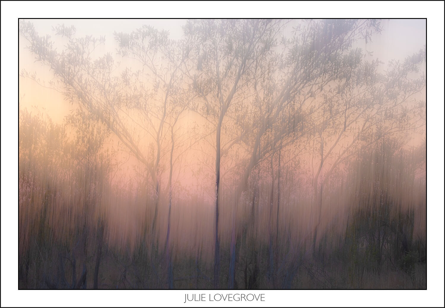 , Pungwe camp, Greater Kruger, South Africa. Part 1.