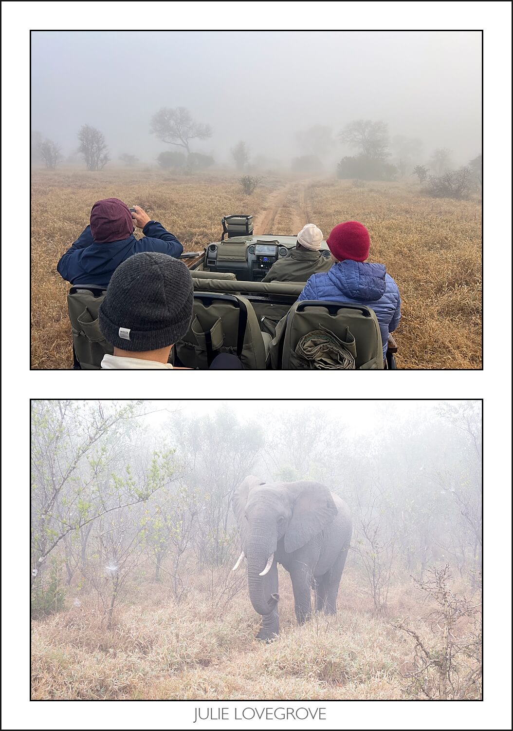 , Pungwe camp, Greater Kruger, South Africa. Part 2