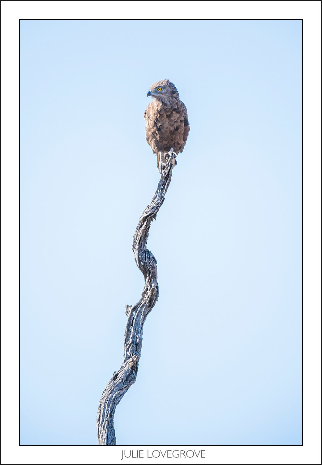 , Pungwe camp, Greater Kruger, South Africa. Part 2