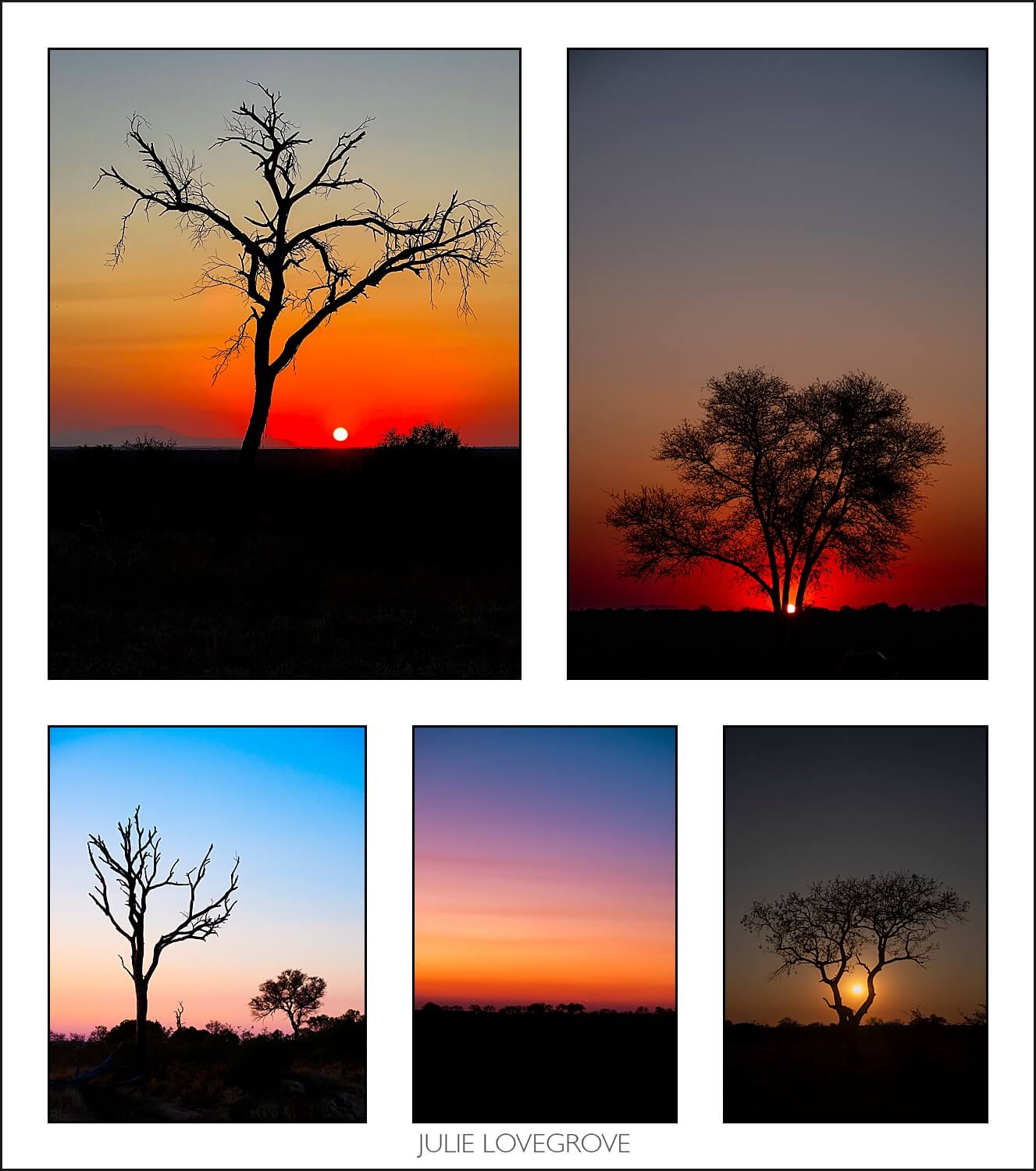 , Pungwe camp, Greater Kruger, South Africa. Part 1.
