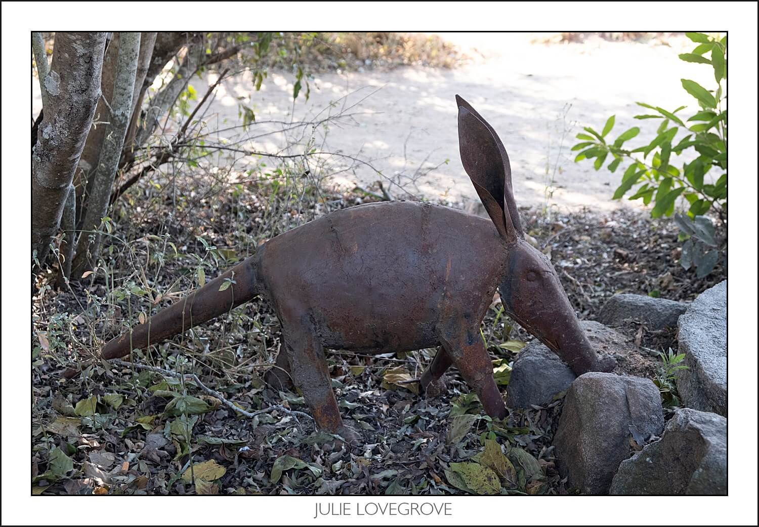 , Pungwe camp, Greater Kruger, South Africa. Part 1.