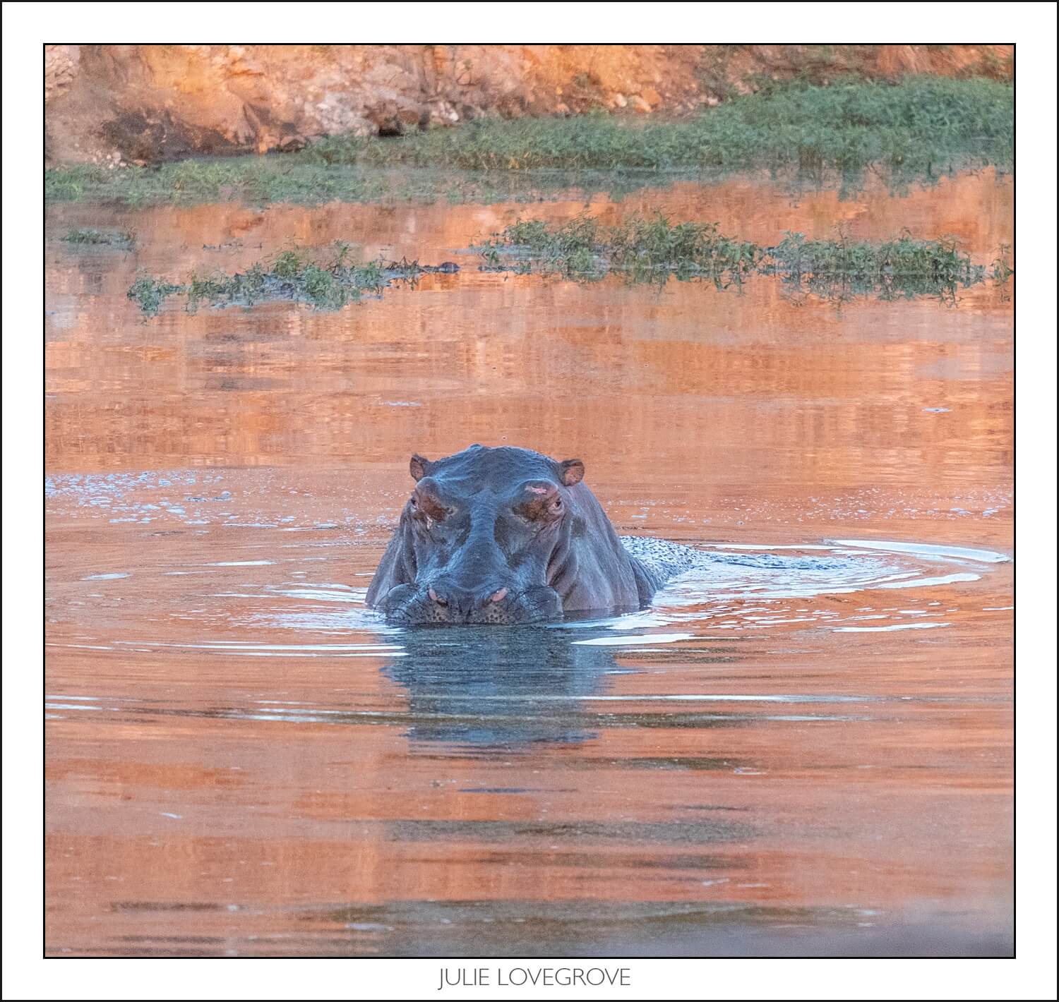 , Pungwe camp, Greater Kruger, South Africa. Part 2