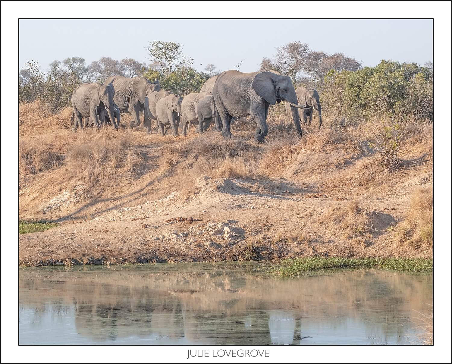 , Pungwe camp, Greater Kruger, South Africa. Part 1.