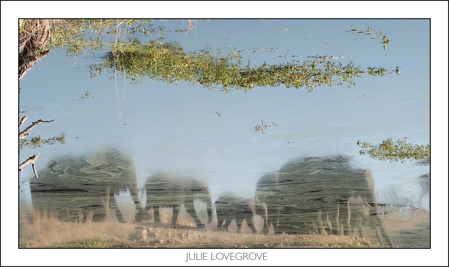 , Pungwe camp, Greater Kruger, South Africa. Part 1.