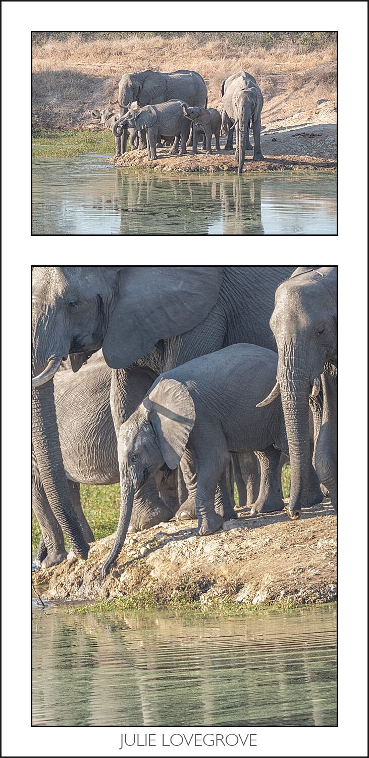 , Pungwe camp, Greater Kruger, South Africa. Part 1.